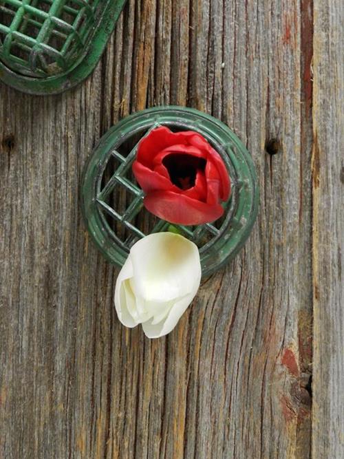 CHRISTMAS PACK RED & WHITE  SEASONAL TULIPS